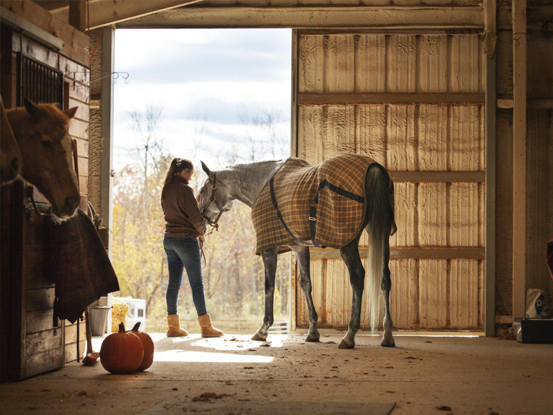 Why Storytelling Matters: Inspiring Young Readers Through Farm Adventures